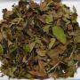 China Fujian Fuding BAI HAO YIN ZHEN (SILVER NEEDLE) Imperial White Tea